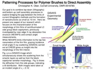 Patterning Processes for Polymer Brushes to Direct Assembly