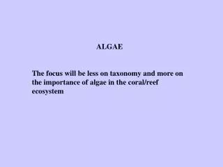 ALGAE The focus will be less on taxonomy and more on the importance of algae in the coral/reef ecosystem