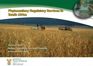 Phytosanitary Regulatory Services in South Africa