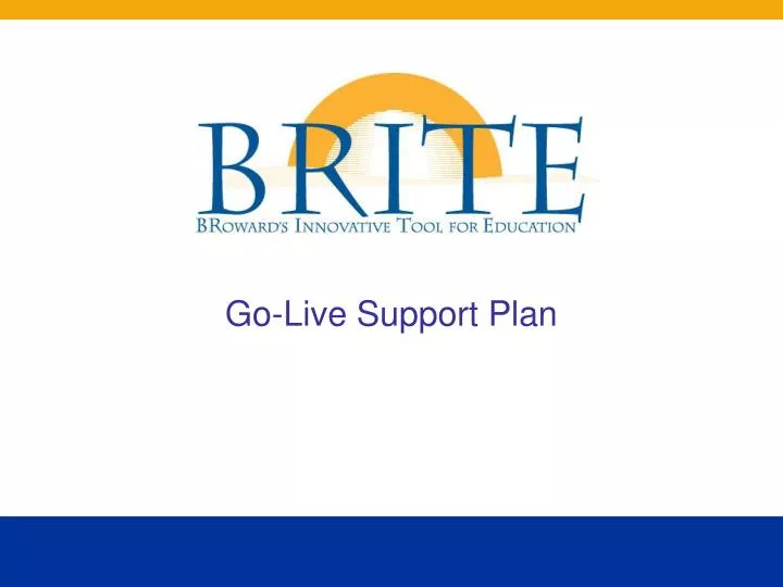 go live support plan