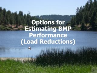 Options for Estimating BMP Performance (Load Reductions)
