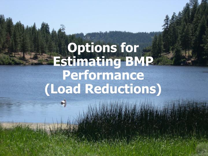 options for estimating bmp performance load reductions