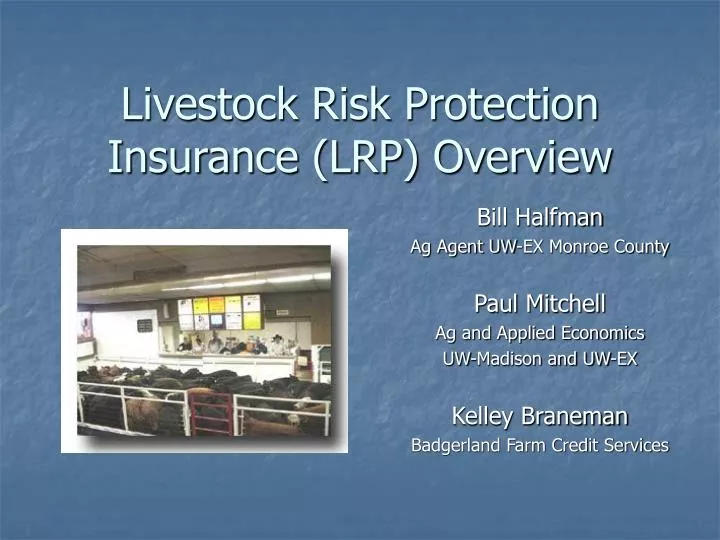 livestock risk protection insurance lrp overview
