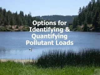 Options for Identifying &amp; Quantifying Pollutant Loads