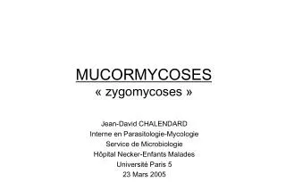 MUCORMYCOSES « zygomycoses »