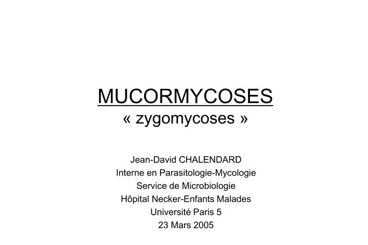 mucormycoses zygomycoses