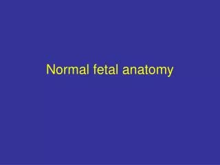 Normal fetal anatomy