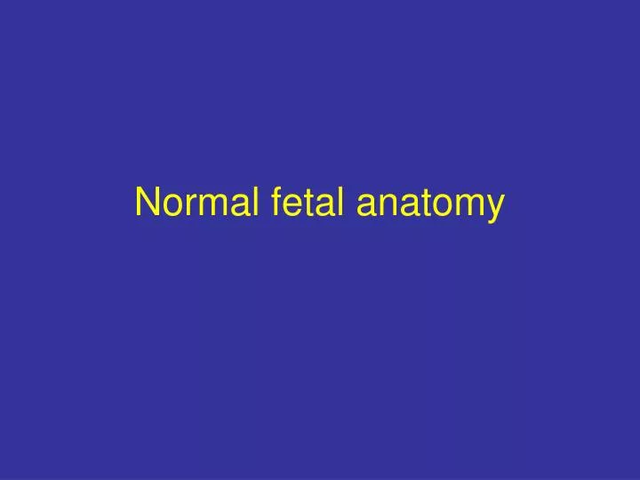 normal fetal anatomy