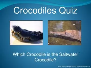 Crocodiles Quiz