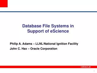 Database File Systems in Support of eScience