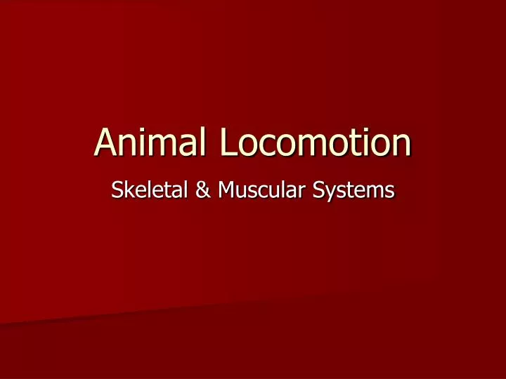 animal locomotion
