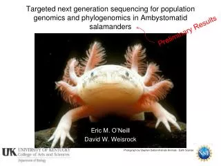 Targeted next generation sequencing for population genomics and phylogenomics in Ambystomatid salamanders