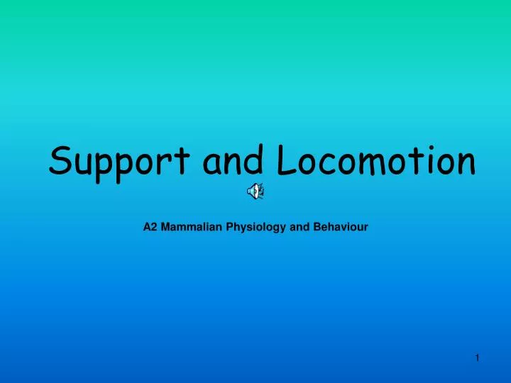 support and locomotion