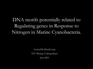 DNA motifs potentially related to Regulating genes in Response to Nitrogen in Marine Cyanobacteria.
