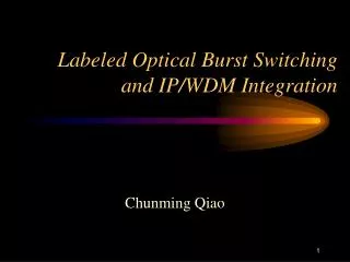 Labeled Optical Burst Switching and IP/WDM Integration