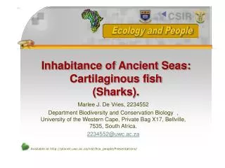 Inhabitance of Ancient Seas: Cartilaginous fish (Sharks).