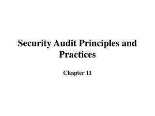Security Audit Principles and Practices