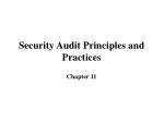 Security Audit Principles and Practices - slide 1