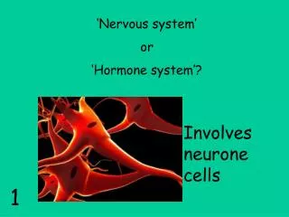 ‘Nervous system’ or ‘Hormone system’?