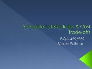 Schedule Lot Size Rules &amp; Cost Trade-offs