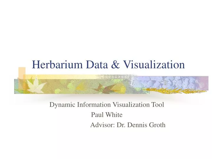 herbarium data visualization