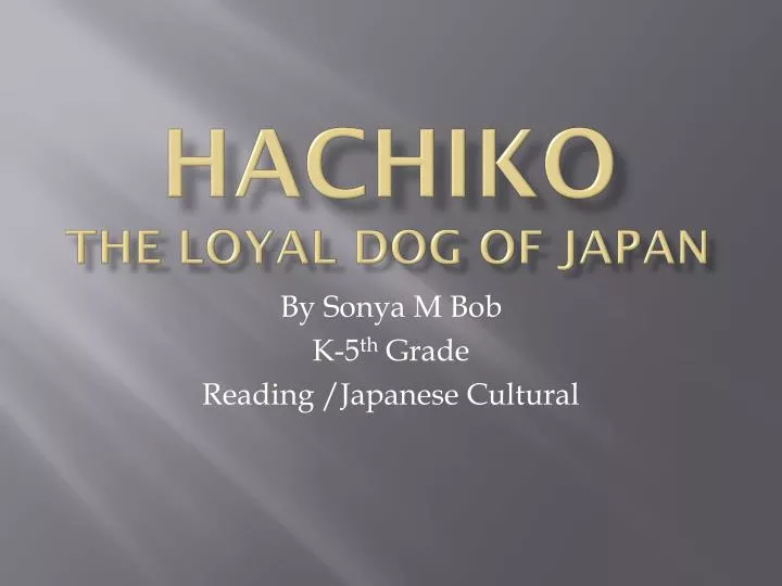 hachiko the loyal dog of japan
