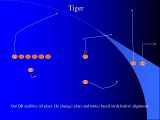 Our QB audibles all plays. He changes plays and routes based on defensive alignment.