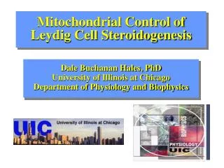 Mitochondrial Control of Leydig Cell Steroidogenesis