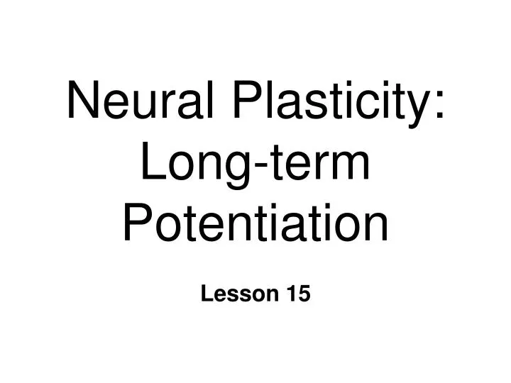 neural plasticity long term potentiation