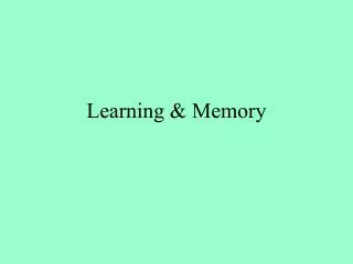 Learning &amp; Memory