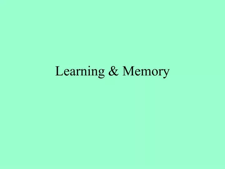 learning memory