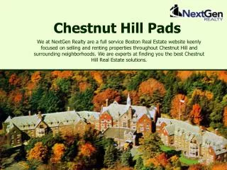 Chesnut Hilll Apartments