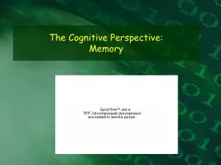 The Cognitive Perspective: Memory