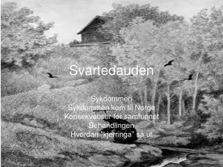 Svartedauden