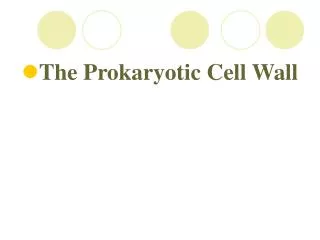 The Prokaryotic Cell Wall