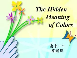 The Hidden Meaning of Colors