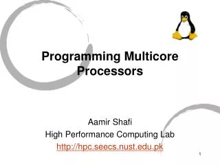 Programming Multicore Processors