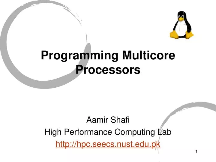 programming multicore processors