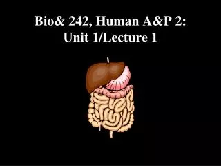 Bio&amp; 242, Human A&amp;P 2: Unit 1/Lecture 1