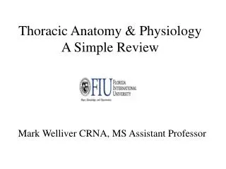 Thoracic Anatomy &amp; Physiology A Simple Review