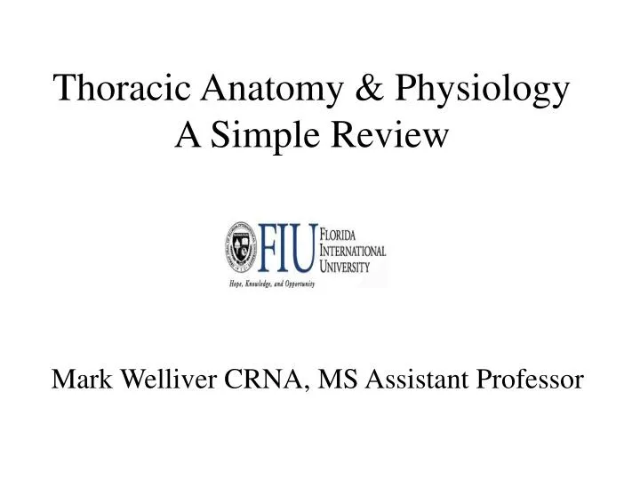 thoracic anatomy physiology a simple review