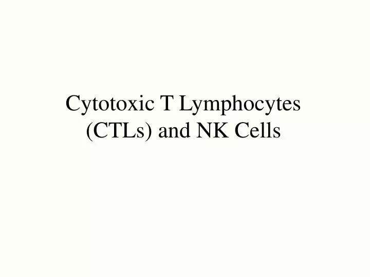cytotoxic t lymphocytes ctls and nk cells