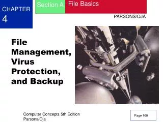 File Management, Virus Protection, and Backup
