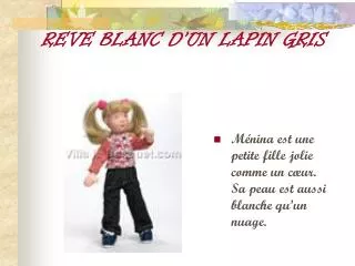 REVE BLANC D’UN LAPIN GRIS