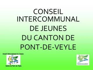 CONSEIL INTERCOMMUNAL DE JEUNES DU CANTON DE PONT-DE-VE YLE