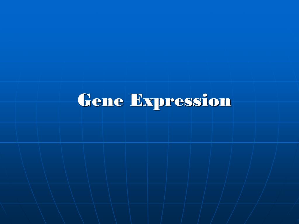 PPT - Gene Expression PowerPoint Presentation, free download - ID:425600