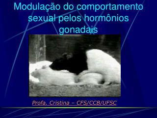 Modulação do comportamento sexual pelos hormônios gonadais