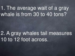 1. The average wait of a gray whale is from 30 to 40 tons? 2. A gray whales tail measures 10 to 12 foot across.