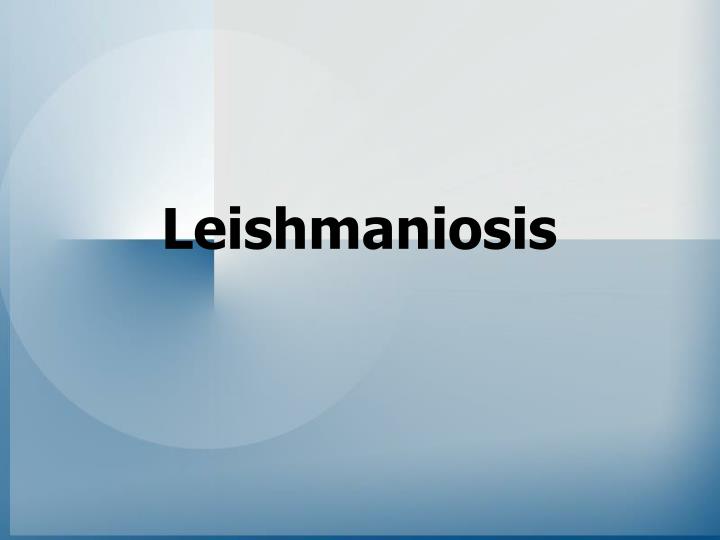 leishmaniosis