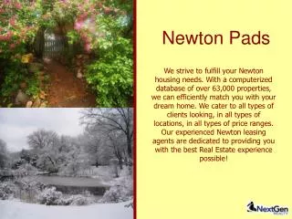 Newton Pads